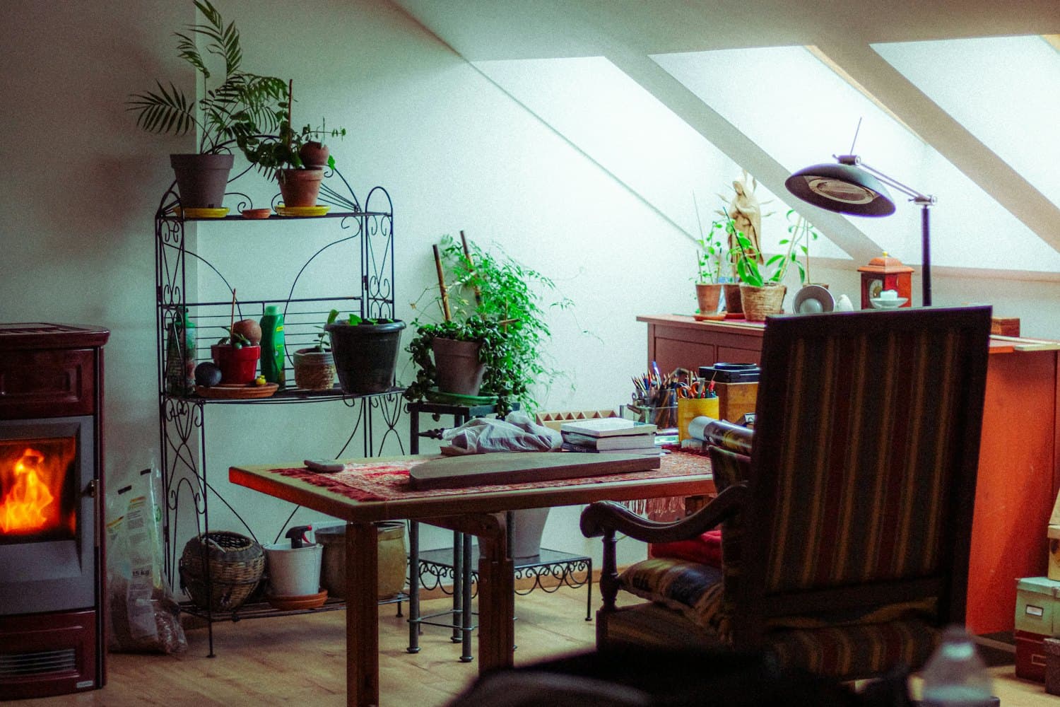 A cozy creative studio full of plants and warm light